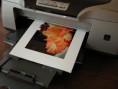 /album/a2/print-jpg/